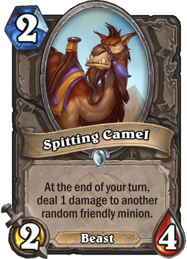 Spitting Camel